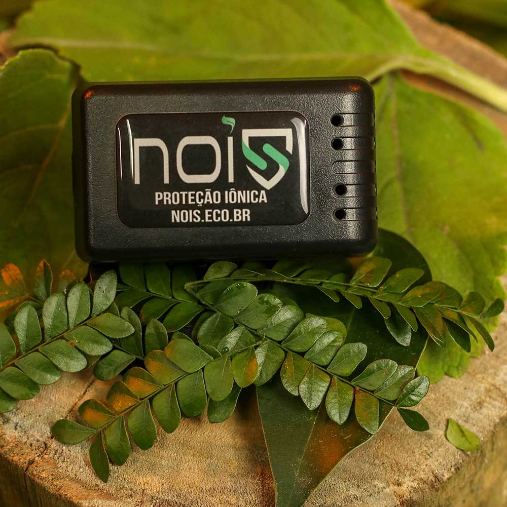 Ion-Hut-Premium-natureza